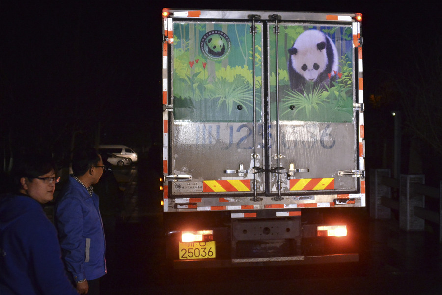 Bao Bao lands safely in China after return from US