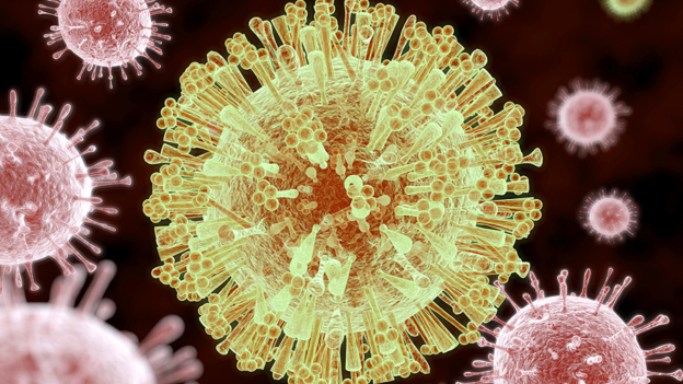 The spread of the Zika virus 寨卡病毒正在迅速擴散
