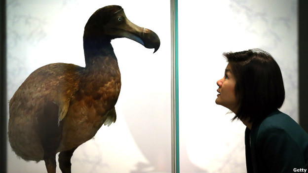 Dead as a dodo 徹底過時了