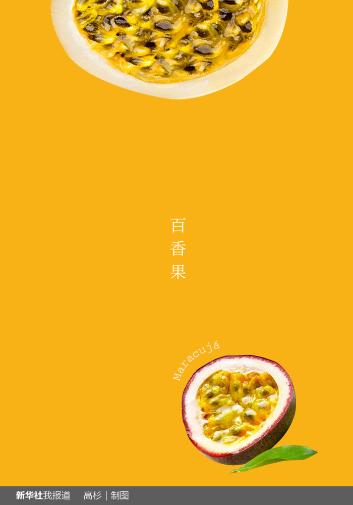 “瘋狂水果城”里約：給你點顏色瞧瞧！