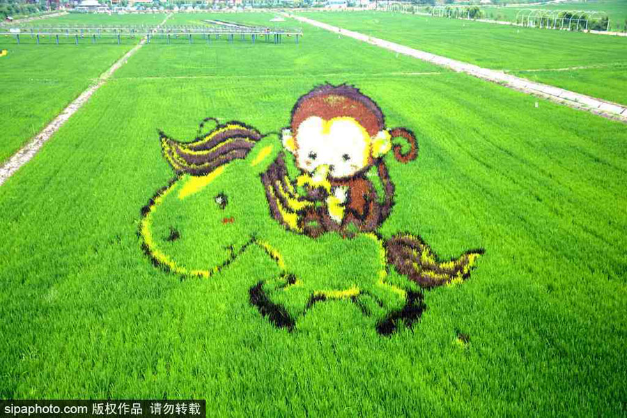 春回大地草木萌動(dòng) 盤(pán)點(diǎn)那些農(nóng)田光景返樸歸真（組圖）