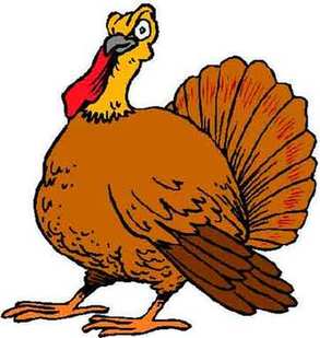 Turkey 感恩節為什么要吃火雞？