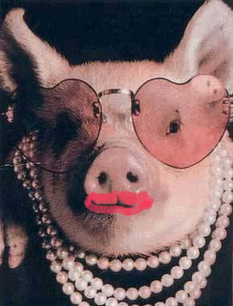 下一張 給豬涂口紅 lipstick on a pig