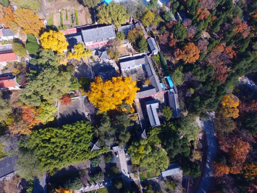 Splendid autumn scenery in Tai'an