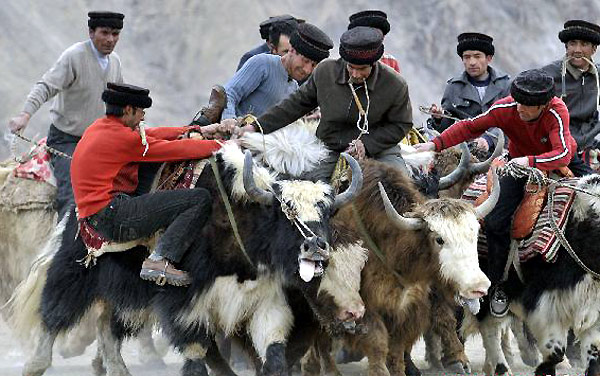 Set for spring, goat grabbing, Nowruz festival, Iranian calendar, Herdsmen, Tajik, ethnic groups, Xinjiang, Uygur, Ethnic groups in Xinjiang set for spring Ethnic groups in Xinjiang set for spring